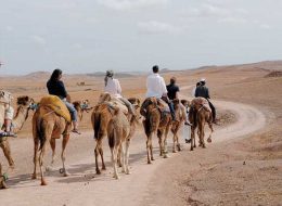 Atlas Mountain And Lunch In Agafay Desert With Camels