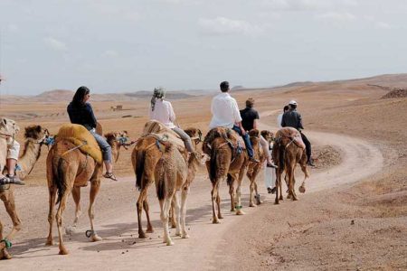 Atlas Mountain And Lunch In Agafay Desert With Camels