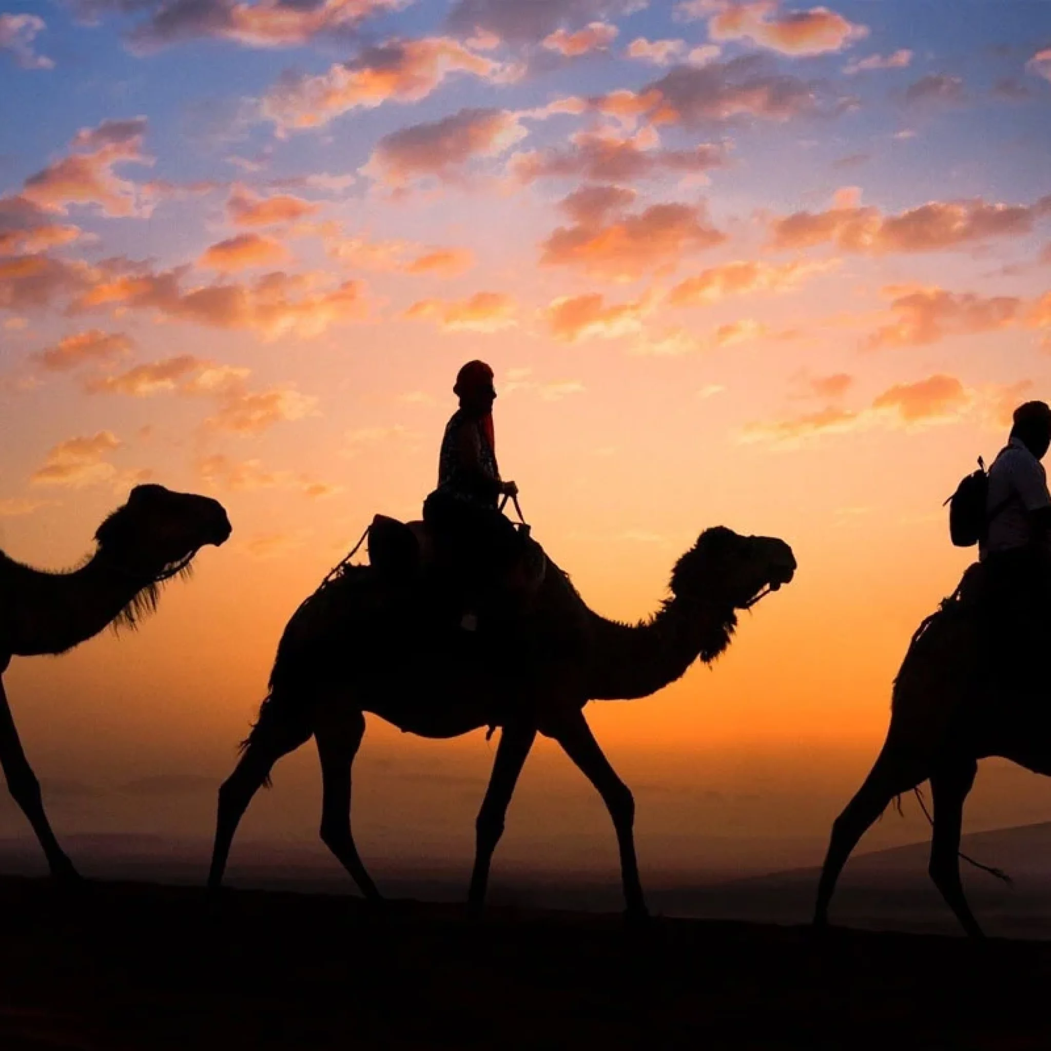 Atlas Mountain And Lunch In Agafay Desert With Camels