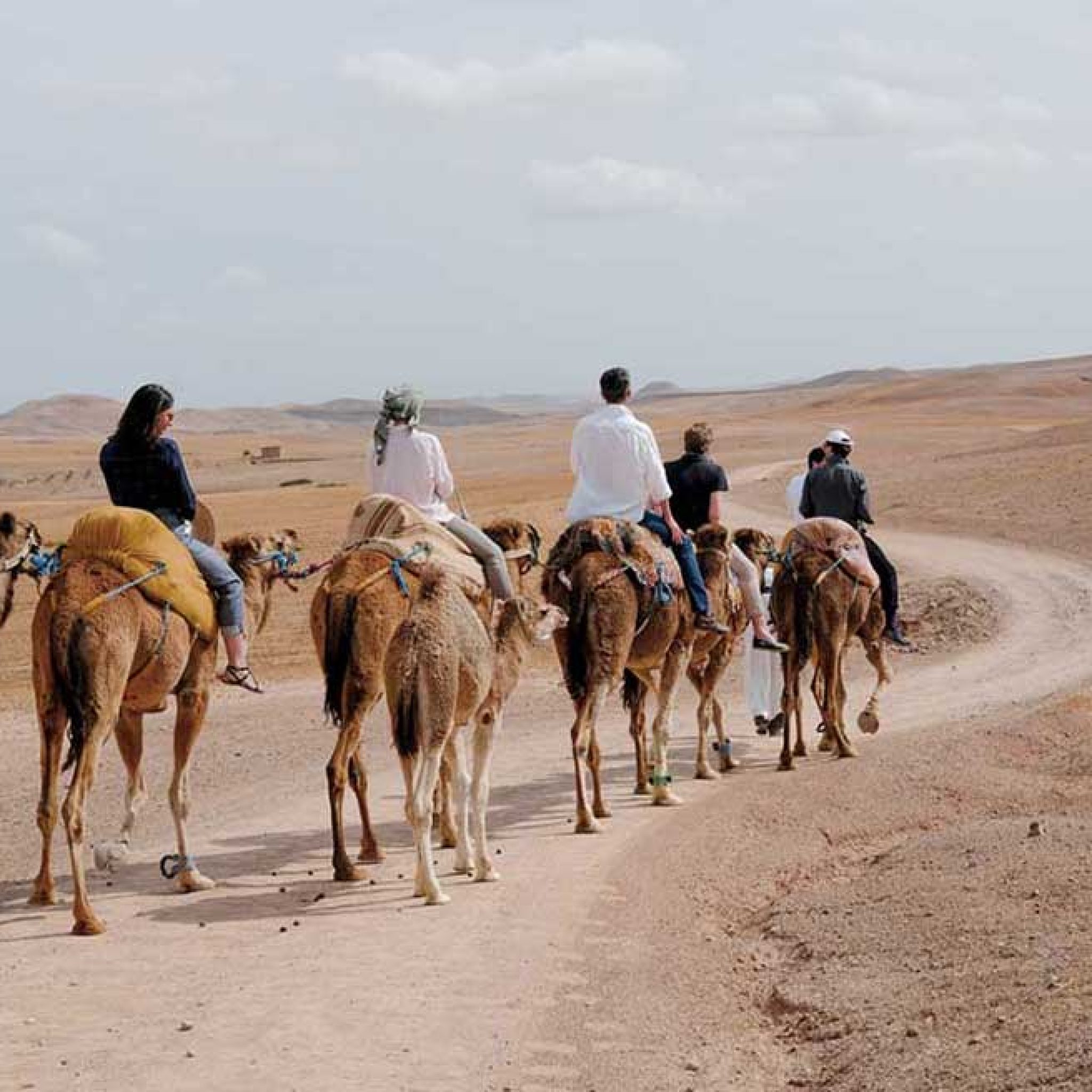 Atlas Mountain And Lunch In Agafay Desert With Camels