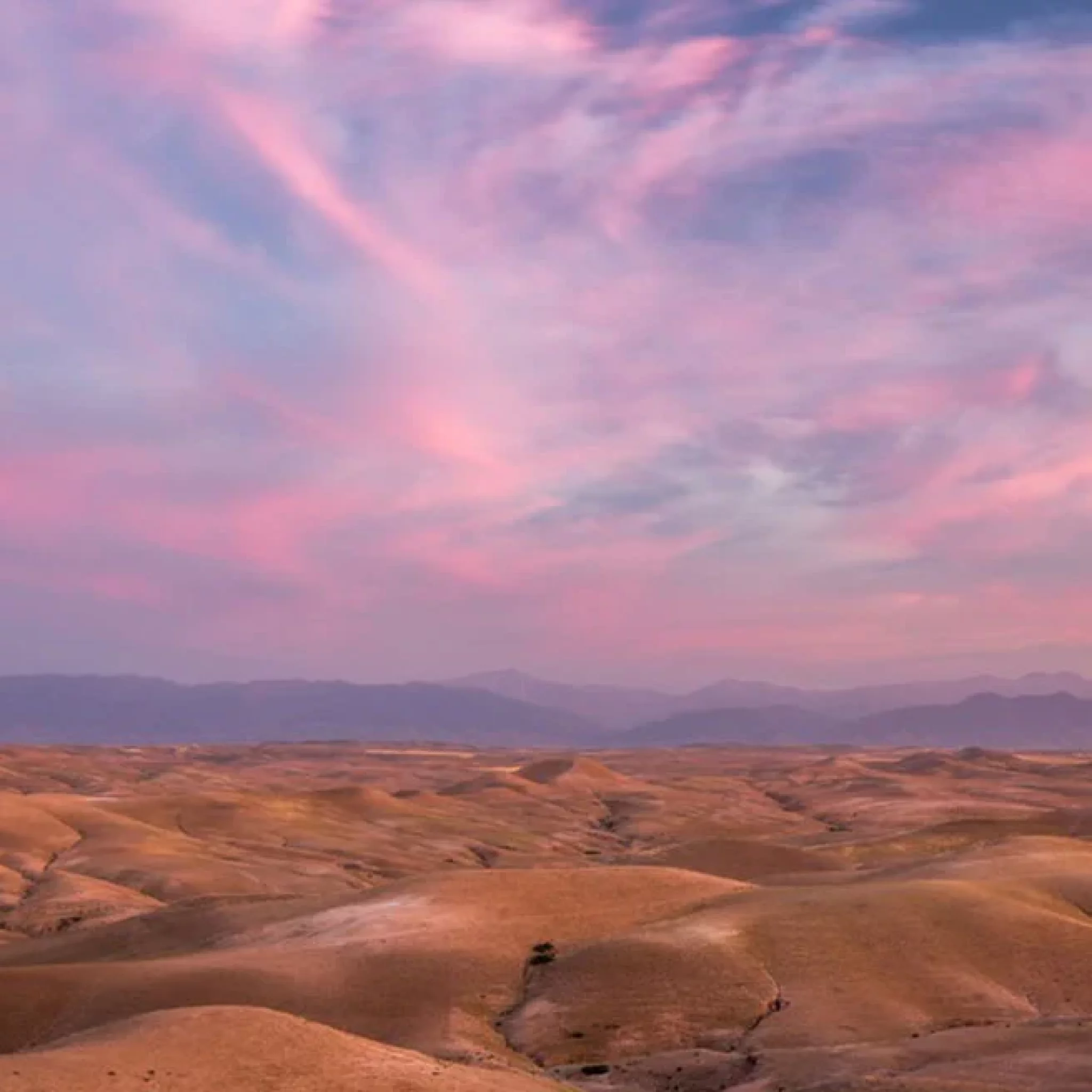 Atlas Mountain And Lunch In Agafay Desert With Camels