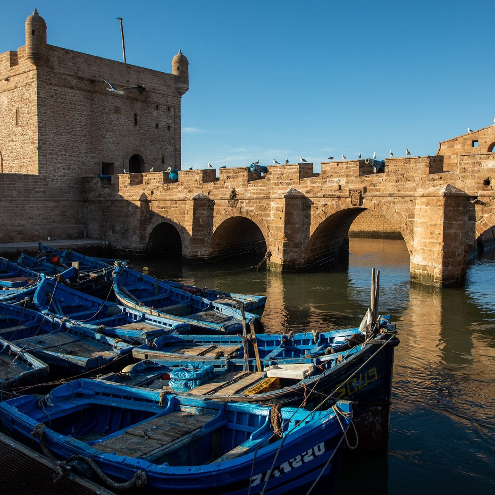 Day Trip From Marrakech To Essaouira-Mogador