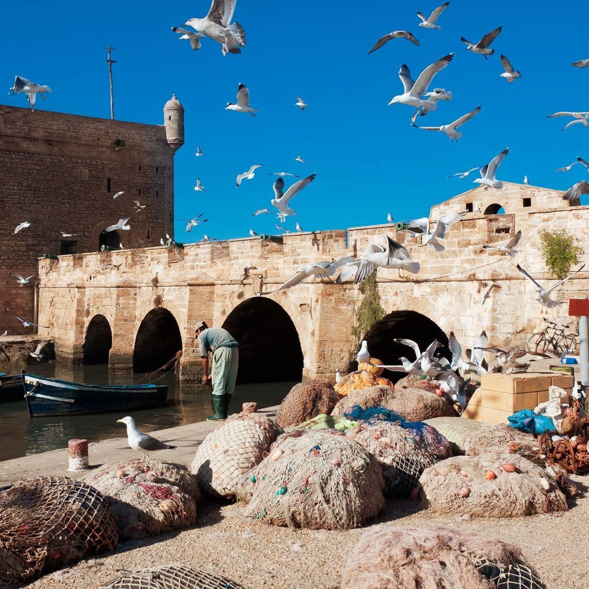 Day Trip From Marrakech To Essaouira-Mogador