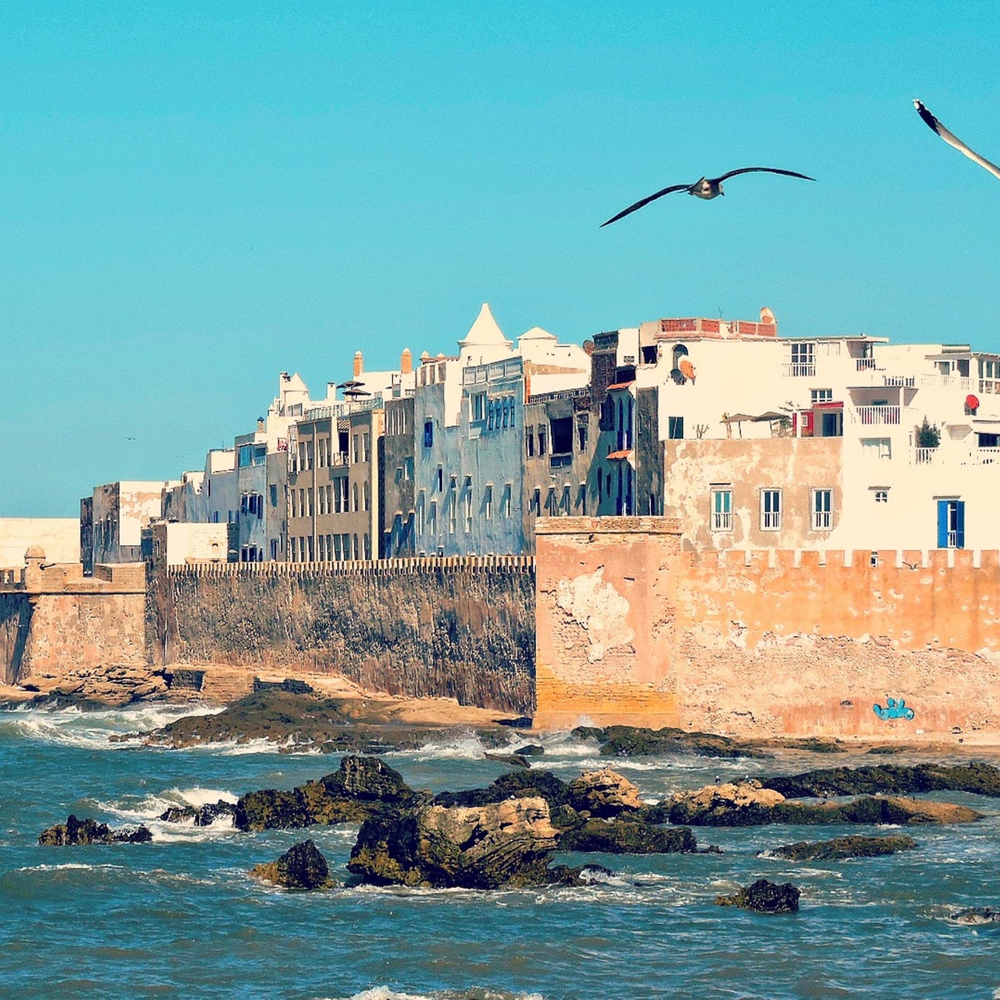 Day Trip From Marrakech To Essaouira-Mogador