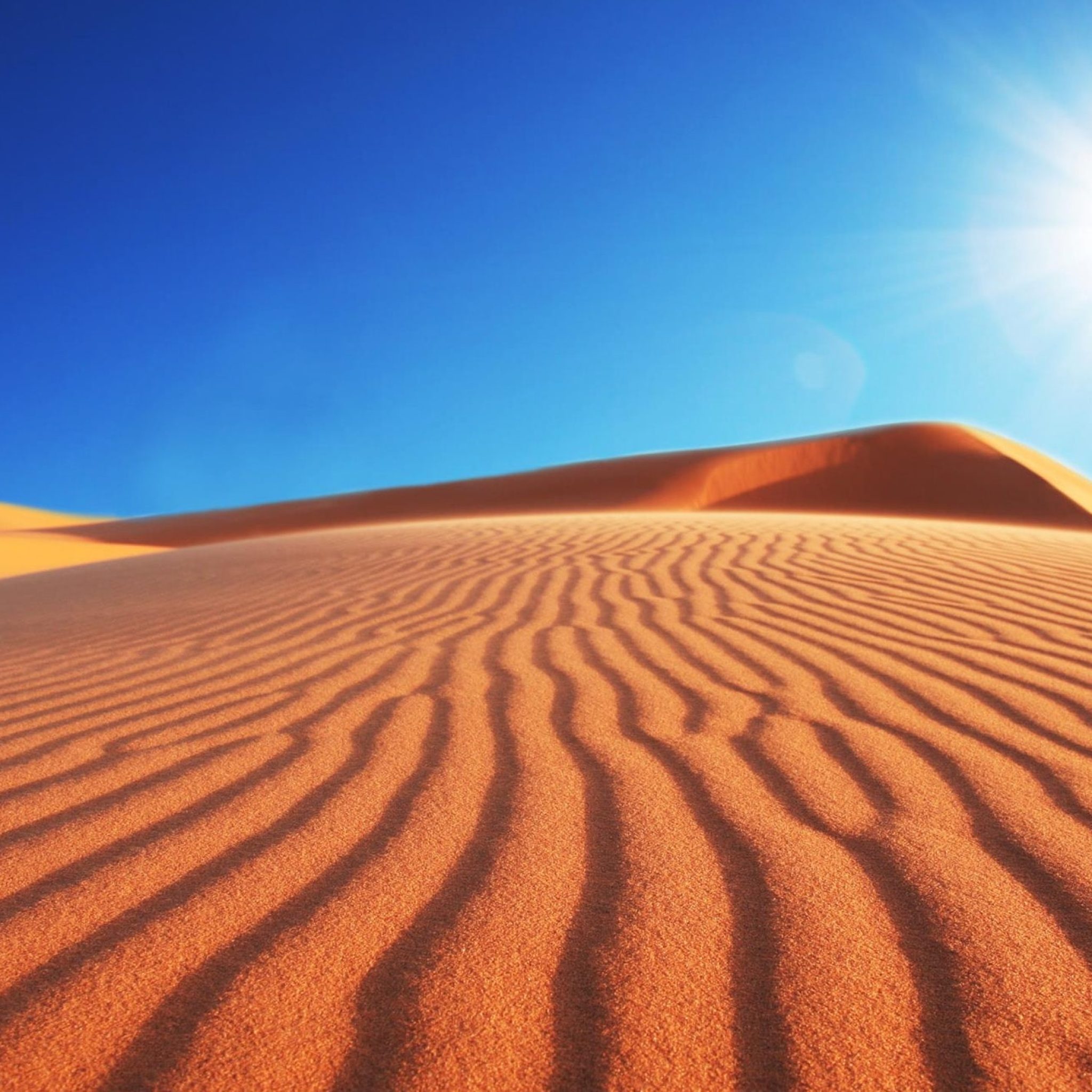 03 Days Trip from Marrakech to Merzouga Dunes