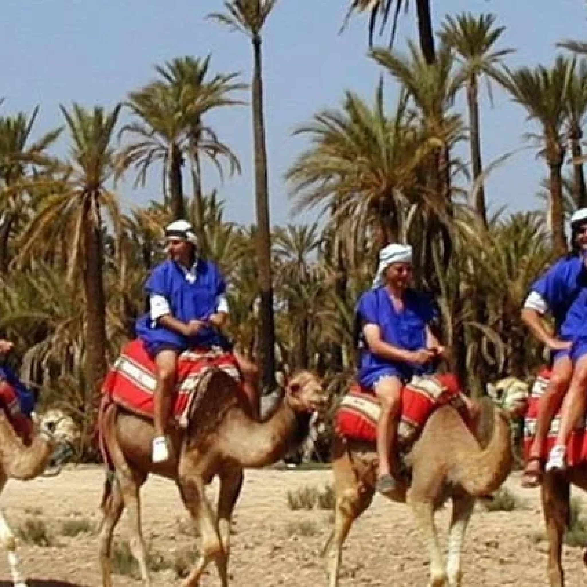 Camel Ride in the Palmeraie