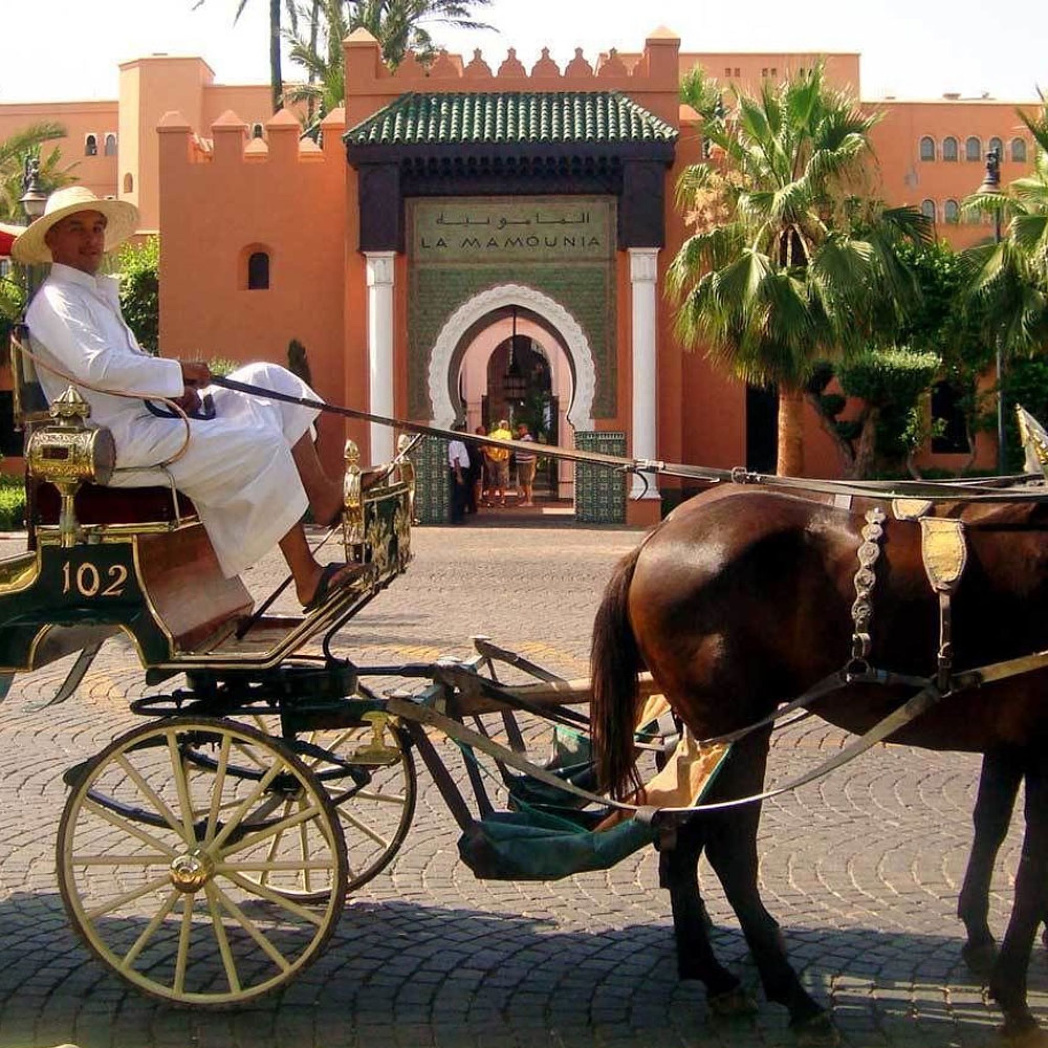 Horse Carriage Ride In Marrakech