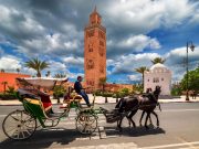 Quad Biking Tour From Marrakech