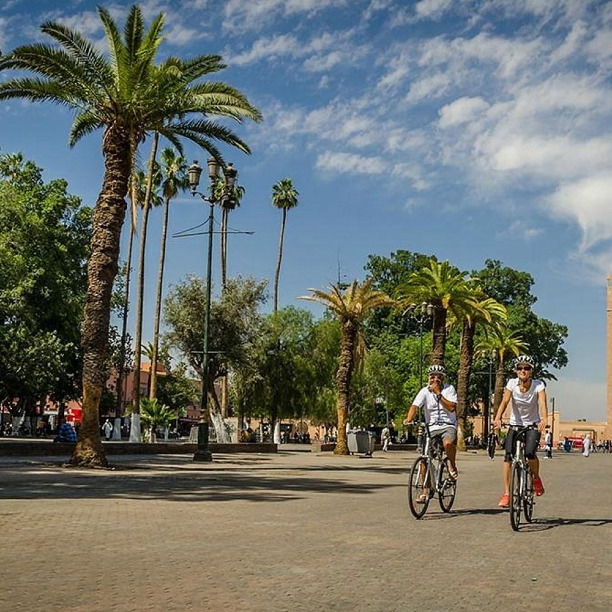 City Discovery Bicycle Tours