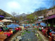 Day trip From Marrakech to Ourika Valley